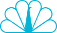 NBC_logo_2009 1